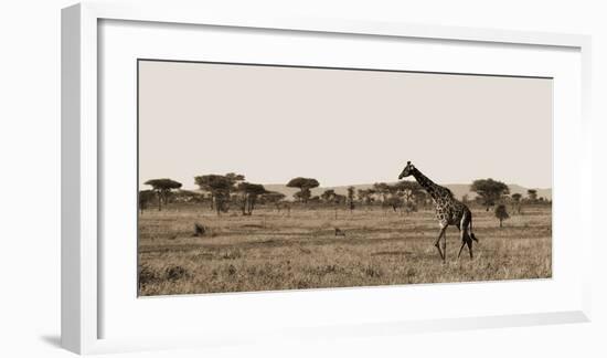 Serengeti Horizons II-Jeff/Boyce Maihara/Watt-Framed Giclee Print