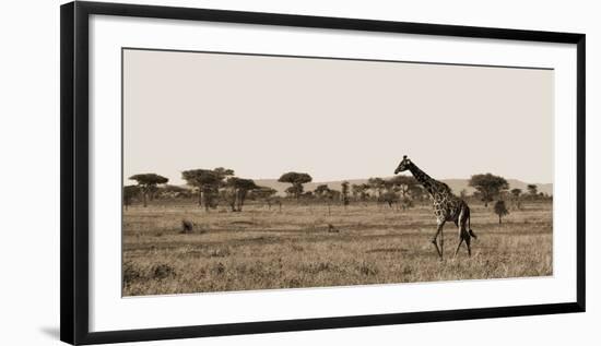 Serengeti Horizons II-Jeff/Boyce Maihara/Watt-Framed Giclee Print