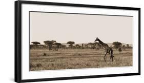 Serengeti Horizons II-Jeff/Boyce Maihara/Watt-Framed Giclee Print