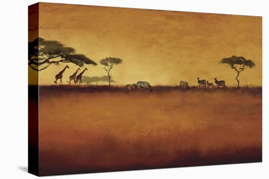 Serengeti I-Tandi Venter-Stretched Canvas