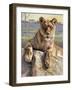 Serengeti Lioness-Kalon Baughan-Framed Art Print