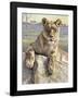 Serengeti Lioness-Kalon Baughan-Framed Art Print