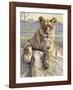 Serengeti Lioness-Kalon Baughan-Framed Art Print