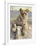 Serengeti Lioness-Kalon Baughan-Framed Art Print