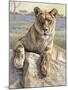 Serengeti Lioness-Kalon Baughan-Mounted Art Print