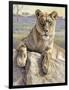 Serengeti Lioness-Kalon Baughan-Framed Giclee Print