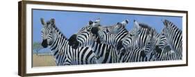 Serengeti Serenade-Durwood Coffey-Framed Premium Giclee Print