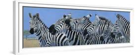 Serengeti Serenade-Durwood Coffey-Framed Premium Giclee Print