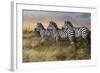 Serengeti Sunset-Trevor V. Swanson-Framed Giclee Print