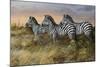 Serengeti Sunset-Trevor V. Swanson-Mounted Giclee Print