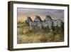 Serengeti Sunset-Trevor V. Swanson-Framed Giclee Print