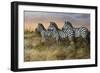 Serengeti Sunset-Trevor V. Swanson-Framed Giclee Print