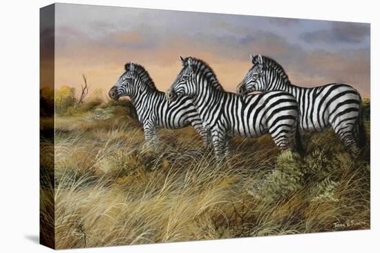 Serengeti Sunset-Trevor V. Swanson-Stretched Canvas