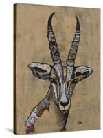 Serengeti Wildlife II-Gina Ritter-Stretched Canvas