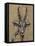 Serengeti Wildlife II-Gina Ritter-Framed Stretched Canvas