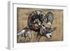 Serengeti Wildlife III-Gina Ritter-Framed Art Print