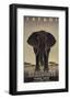 Serengeti-Steve Forney-Framed Giclee Print