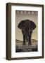 Serengeti-Steve Forney-Framed Giclee Print