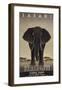 Serengeti-Steve Forney-Framed Giclee Print