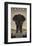 Serengeti-Steve Forney-Framed Art Print