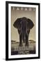 Serengeti-Steve Forney-Framed Art Print