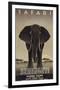 Serengeti-Steve Forney-Framed Giclee Print