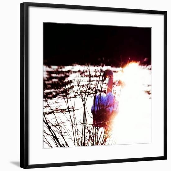 Serenity, 2017,-Helen White-Framed Giclee Print