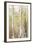 Serenity Birch-Allison Pearce-Framed Art Print