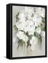 Serenity Blooms-Asia Jensen-Framed Stretched Canvas