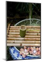 Serenity Garden' Fountain, Pottery Jug, the Prasart Museum, Bangkok, Thailand-Cindy Miller Hopkins-Mounted Photographic Print