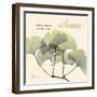 Serenity Gingko-Albert Koetsier-Framed Art Print