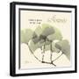 Serenity Gingko-Albert Koetsier-Framed Art Print