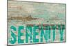 Serenity Grunge-Diane Stimson-Mounted Art Print