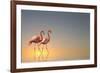 Serenity II-Anna Cseresnjes-Framed Art Print