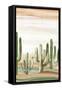 Serenity in the Desert I-Luna Mavis-Framed Stretched Canvas