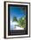 Serenity - Palm Trees-Unknown Unknown-Framed Photo