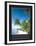 Serenity - Palm Trees-Unknown Unknown-Framed Photo