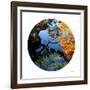 Serenity Reflection 1-Joy Doherty-Framed Giclee Print