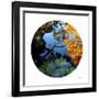 Serenity Reflection 1-Joy Doherty-Framed Giclee Print