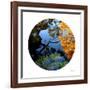 Serenity Reflection 1-Joy Doherty-Framed Giclee Print