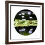 Serenity Reflection 2-Joy Doherty-Framed Giclee Print