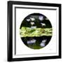 Serenity Reflection 2-Joy Doherty-Framed Giclee Print