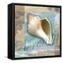 Serenity Shell-Todd Williams-Framed Stretched Canvas