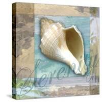 Serenity Shell-Todd Williams-Stretched Canvas