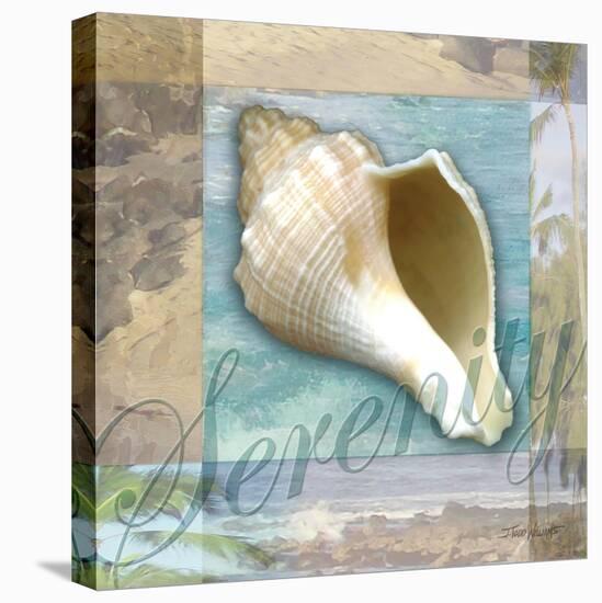 Serenity Shell-Todd Williams-Stretched Canvas