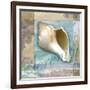 Serenity Shell-Todd Williams-Framed Art Print