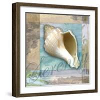 Serenity Shell-Todd Williams-Framed Art Print