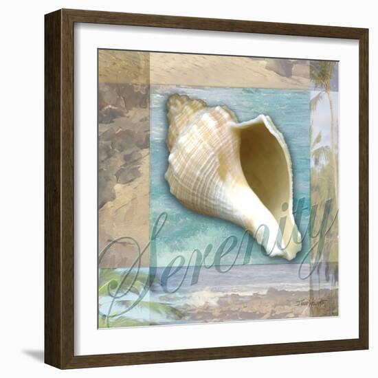 Serenity Shell-Todd Williams-Framed Art Print