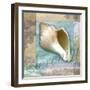 Serenity Shell-Todd Williams-Framed Art Print