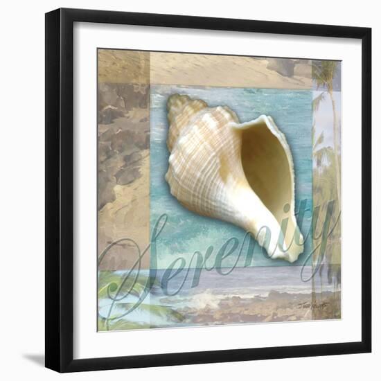 Serenity Shell-Todd Williams-Framed Art Print